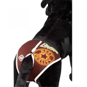 Slip Dog PANTALON DOG | Slip chien brun | Braguita chiens pour la taille XL déstockage